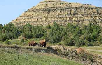 North Dakota Game Warden Requirements