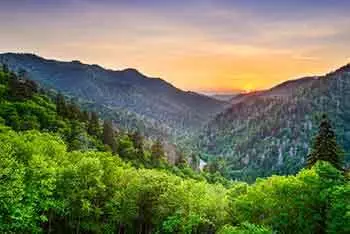 Tennessee Game Warden Requirements