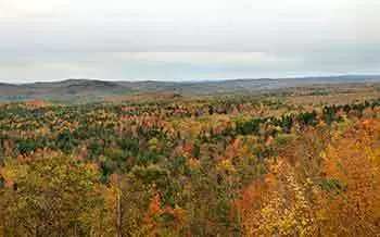 Vermont Game Warden Requirements